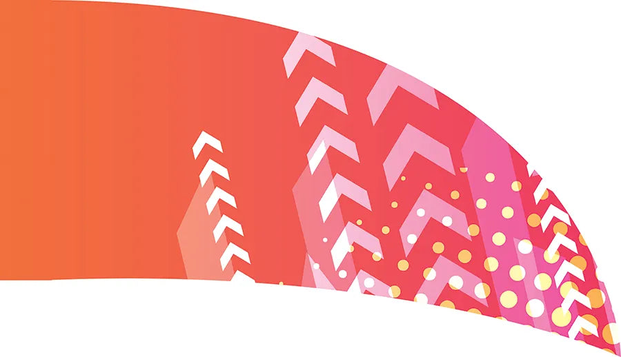 PP-0256-SS