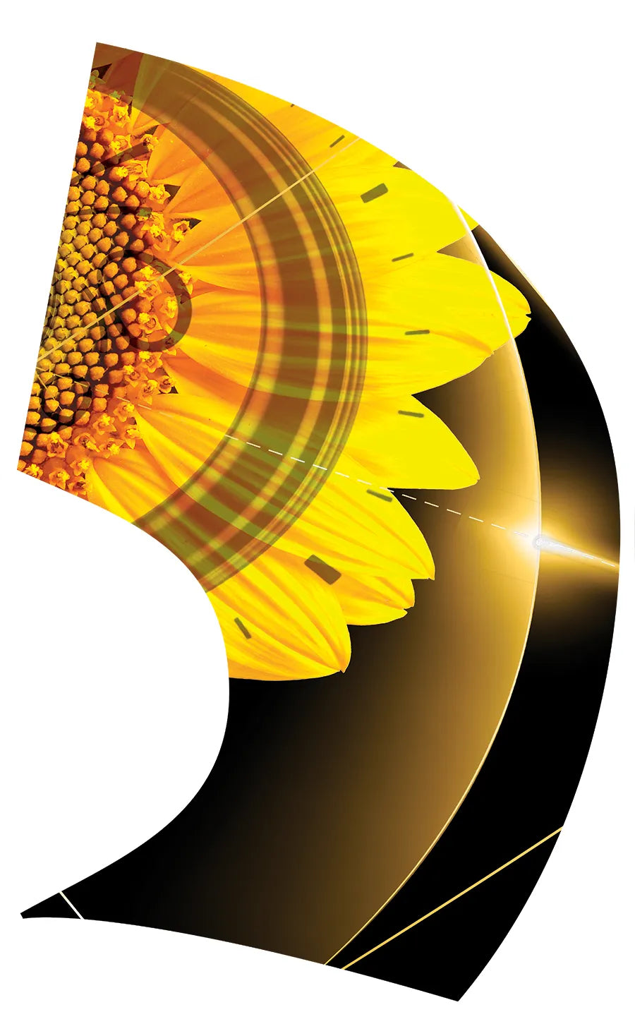 PP-0270-SS