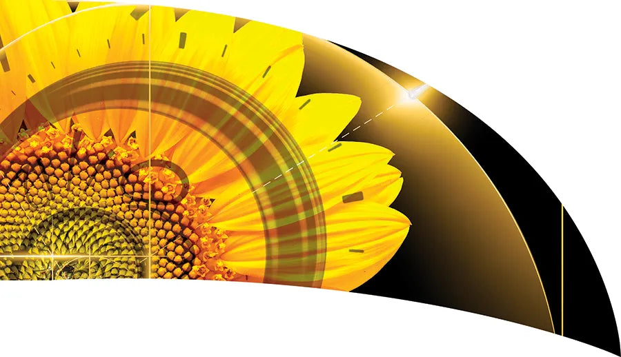 PP-0270-SS