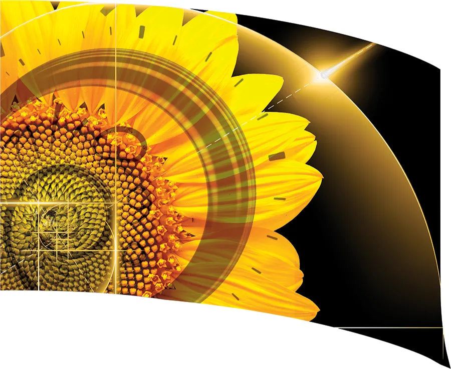PP-0270-SS