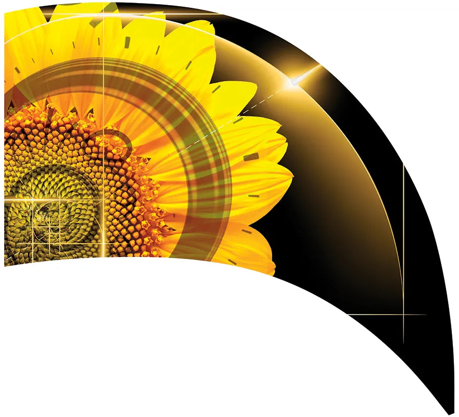 PP-0270-SS