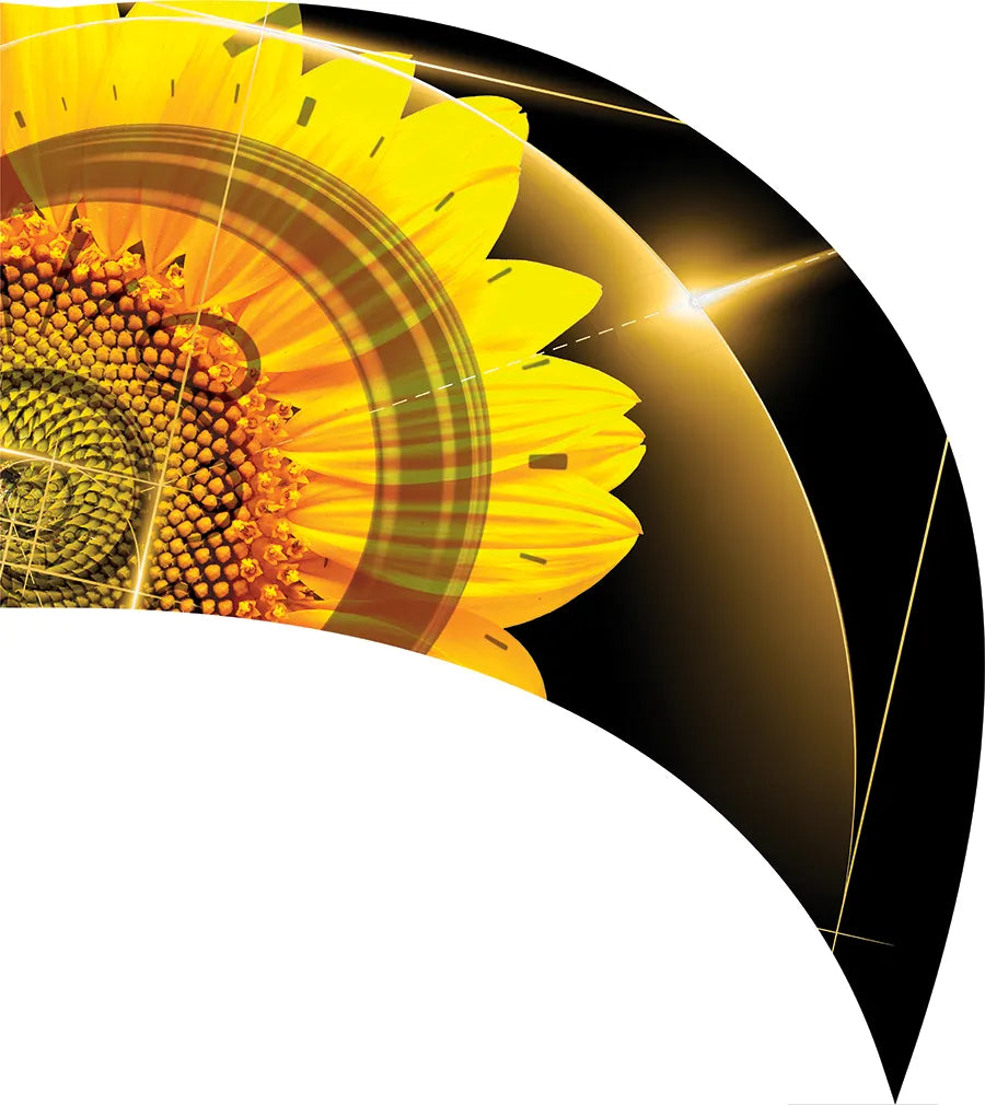 PP-0270-SS