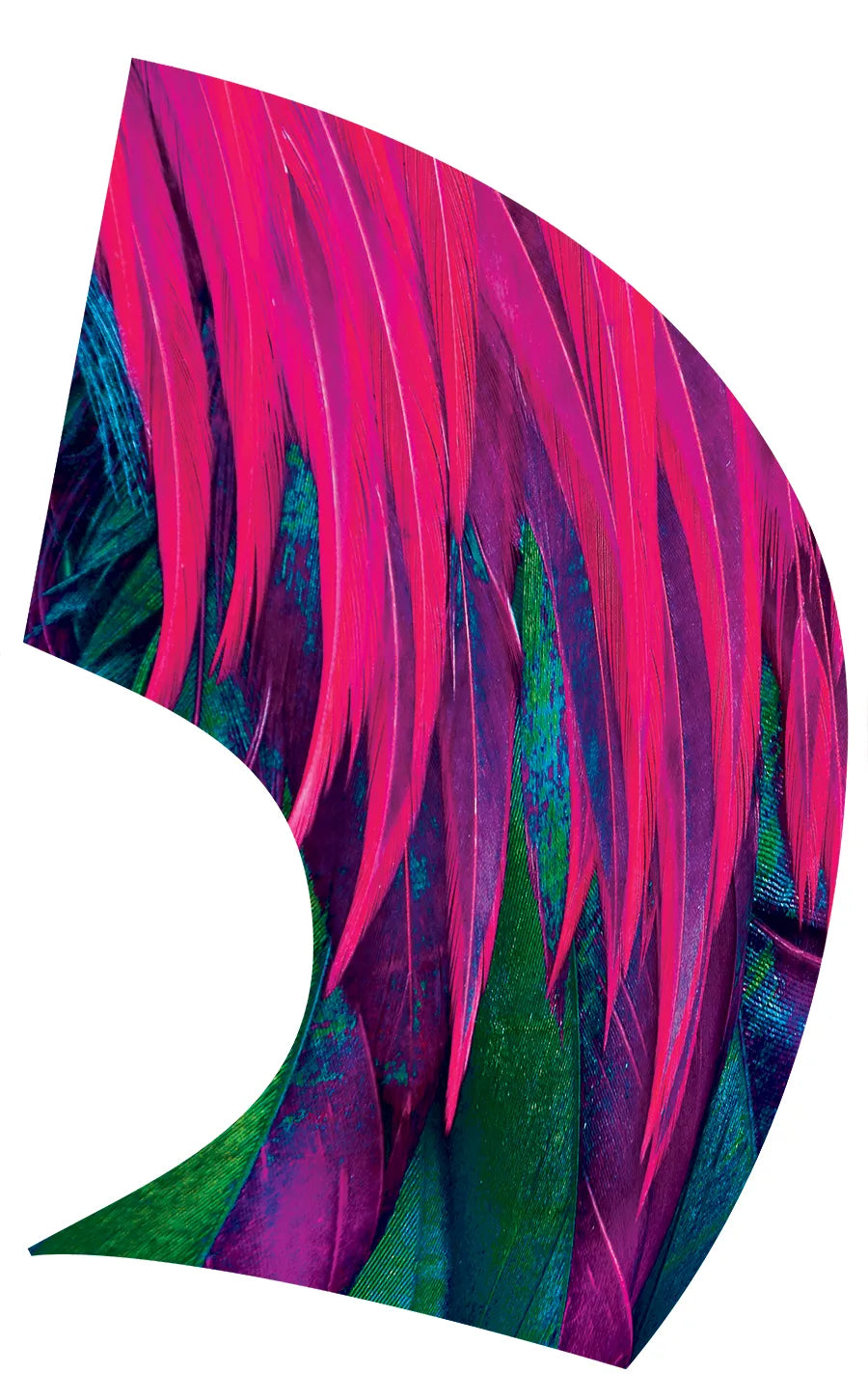 PP-0286-SS