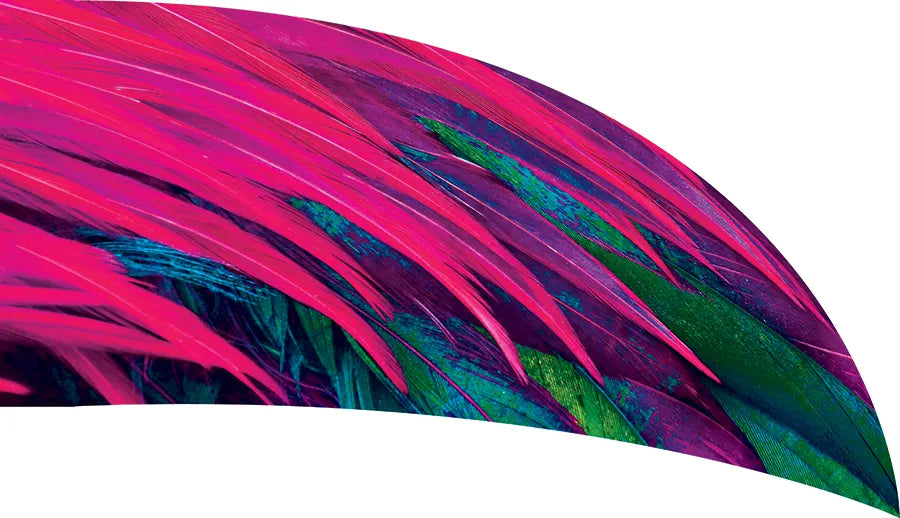 PP-0286-SS