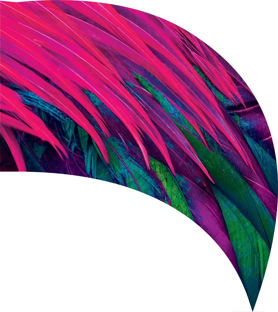 PP-0286-SS