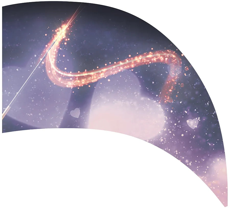 PP-0317-SS