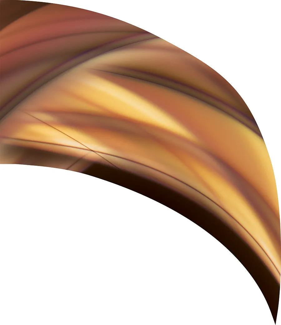 PP-0332-SS