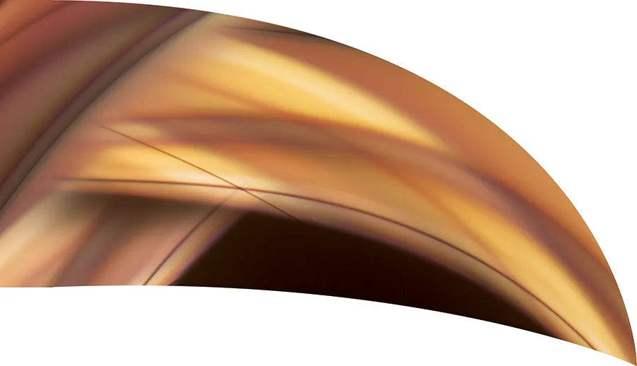 PP-0332-SS