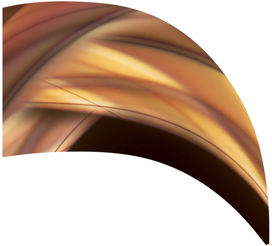 PP-0332-SS