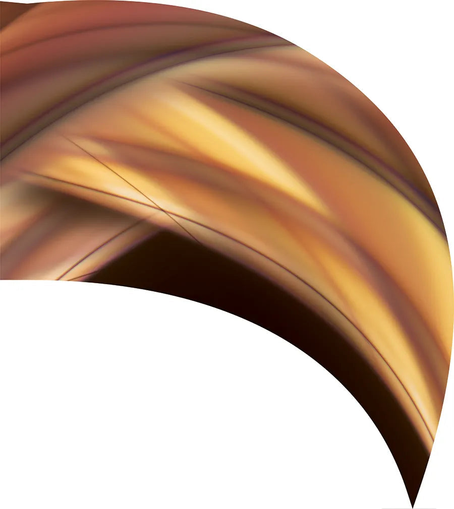 PP-0332-SS