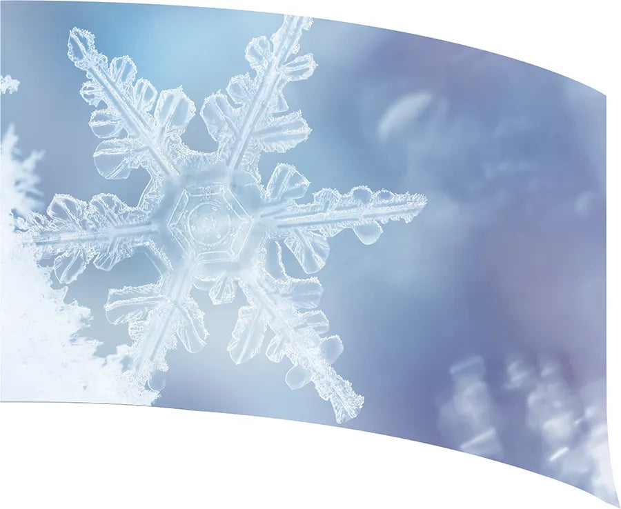 PP-0529-SS
