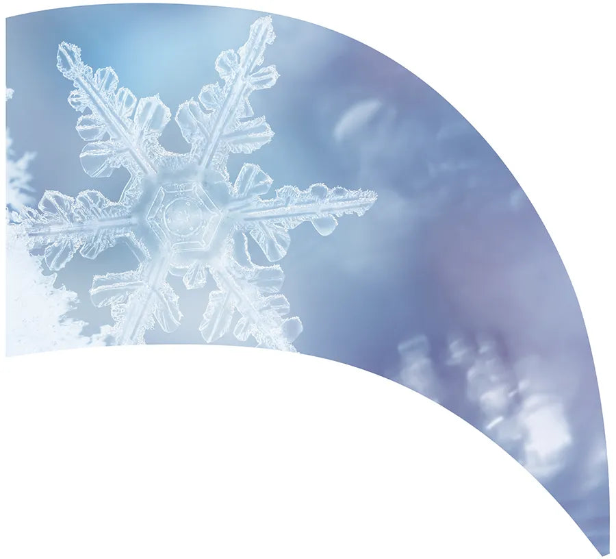PP-0529-SS