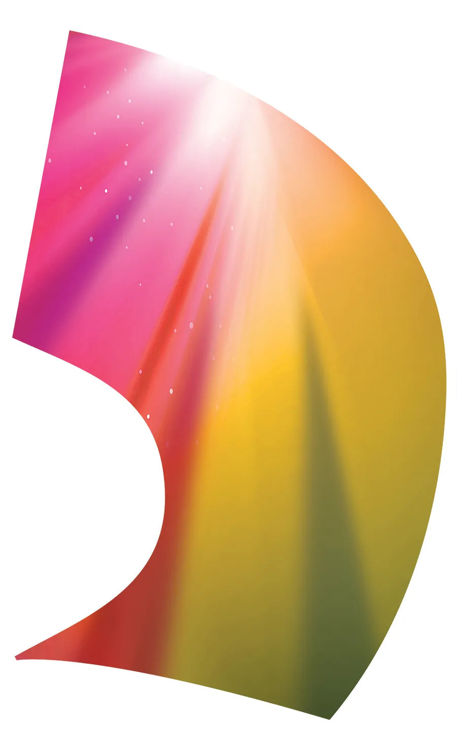 PP-0533-SS