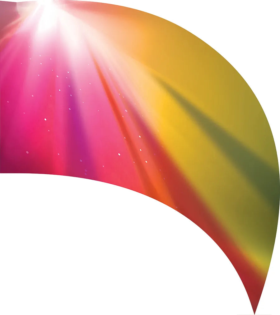 PP-0533-SS