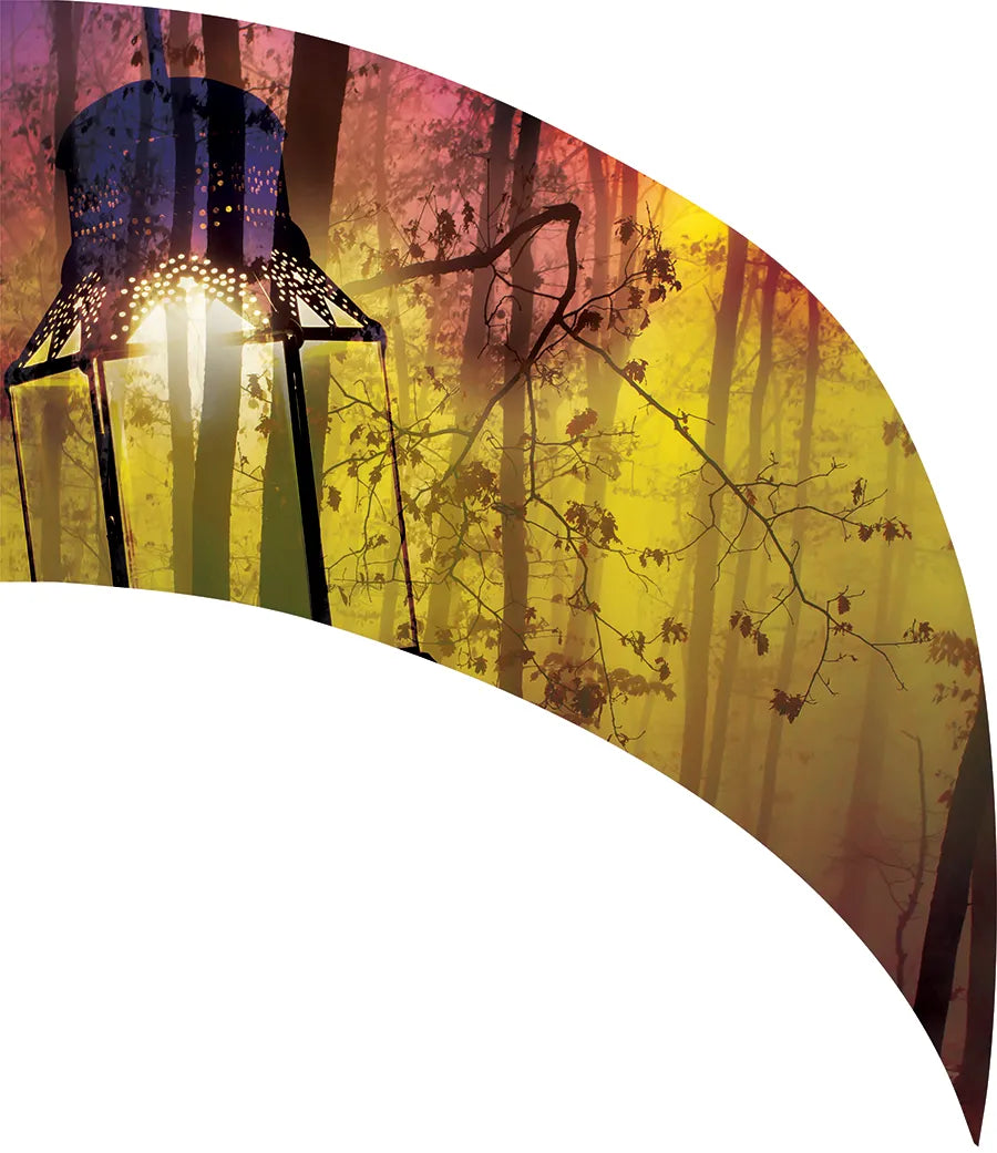 PP-0536-SS