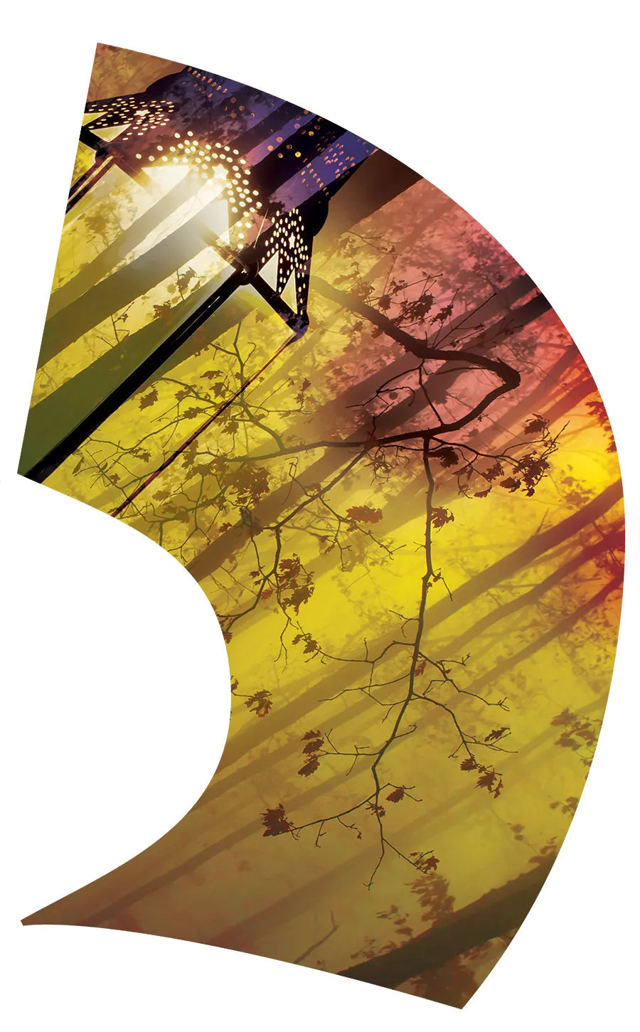 PP-0536-SS