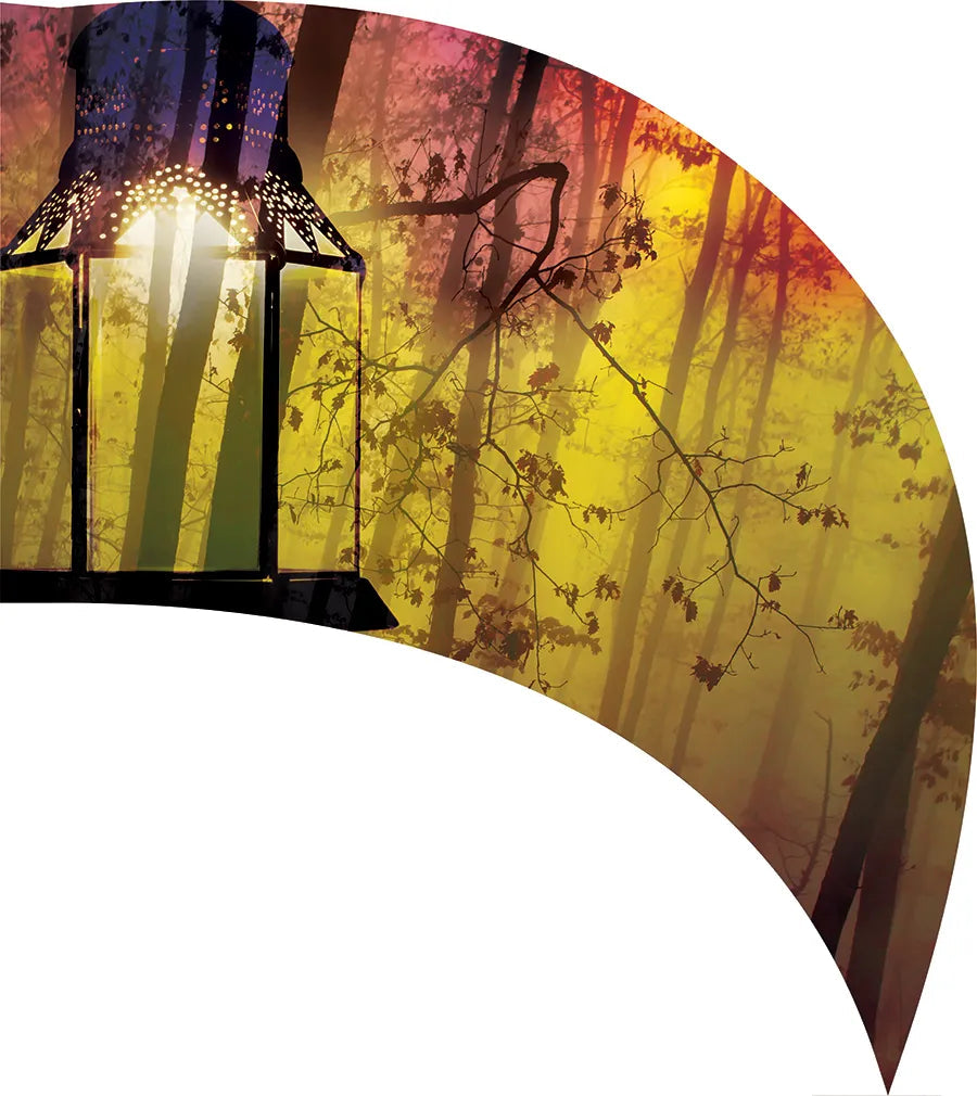 PP-0536-SS