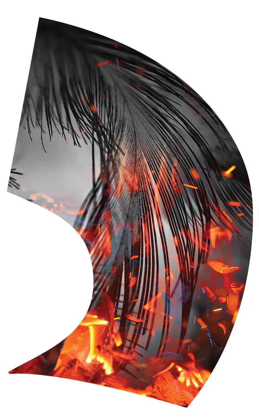 PP-0539-SS