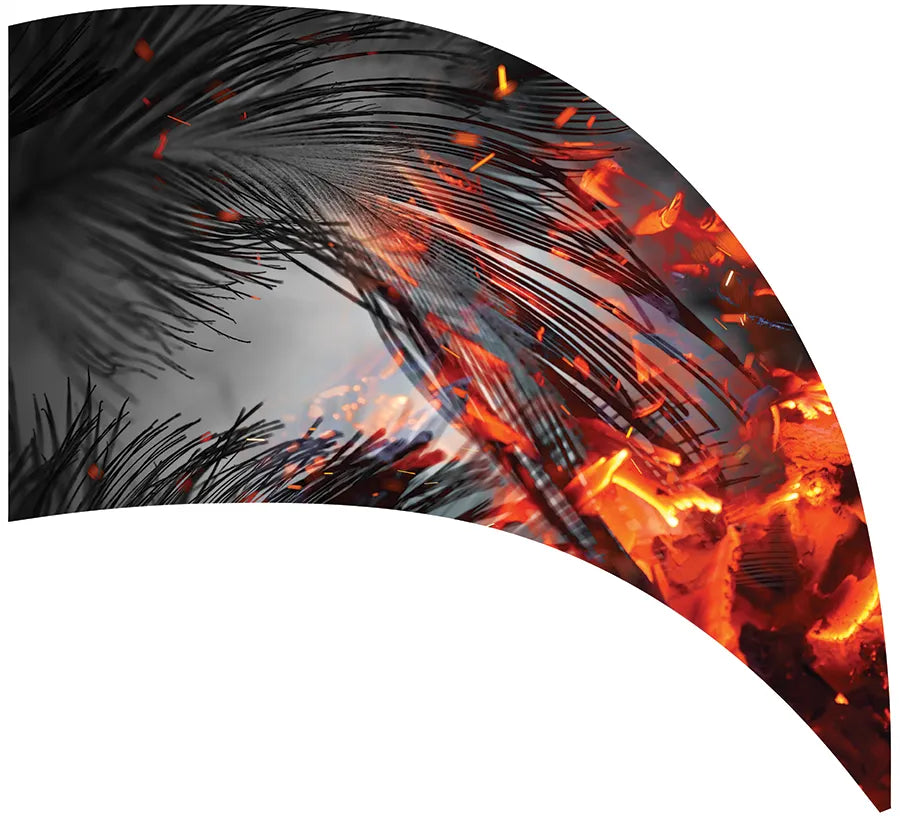 PP-0539-SS