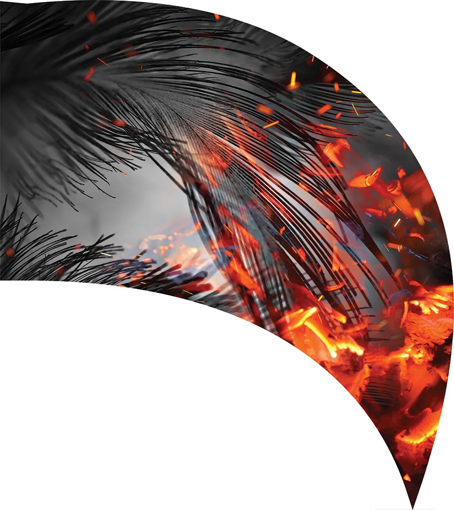 PP-0539-SS
