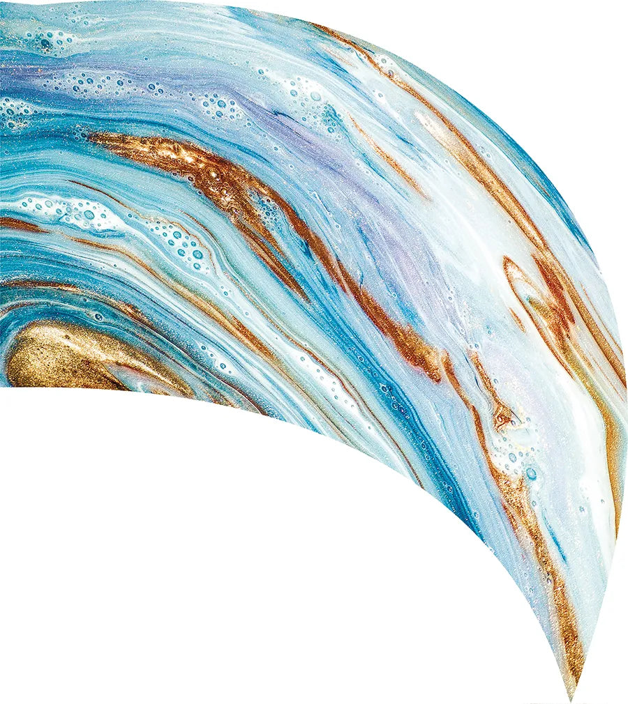 PP-0556-SS