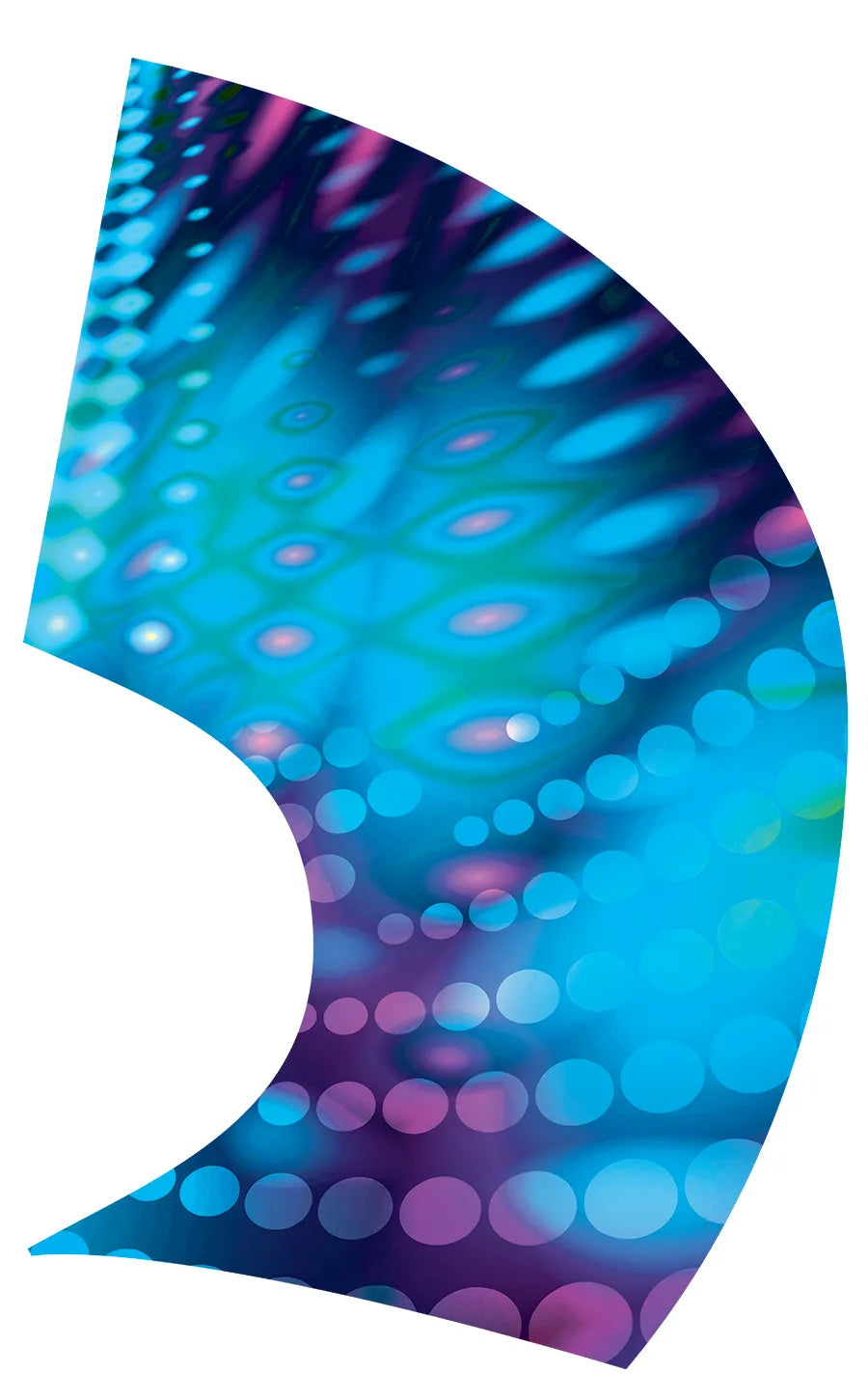 PP-0582-SS