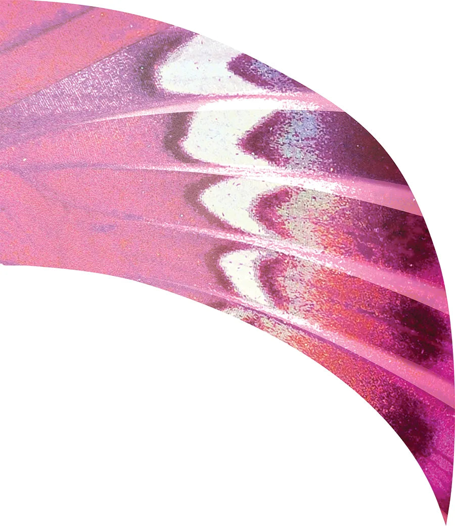 PP-0670-SS