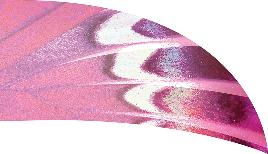PP-0670-SS