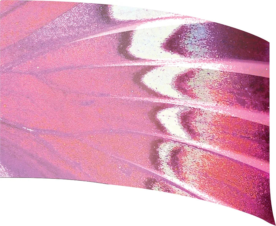 PP-0670-SS