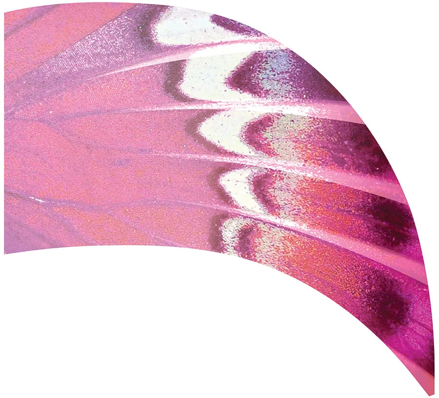 PP-0670-SS