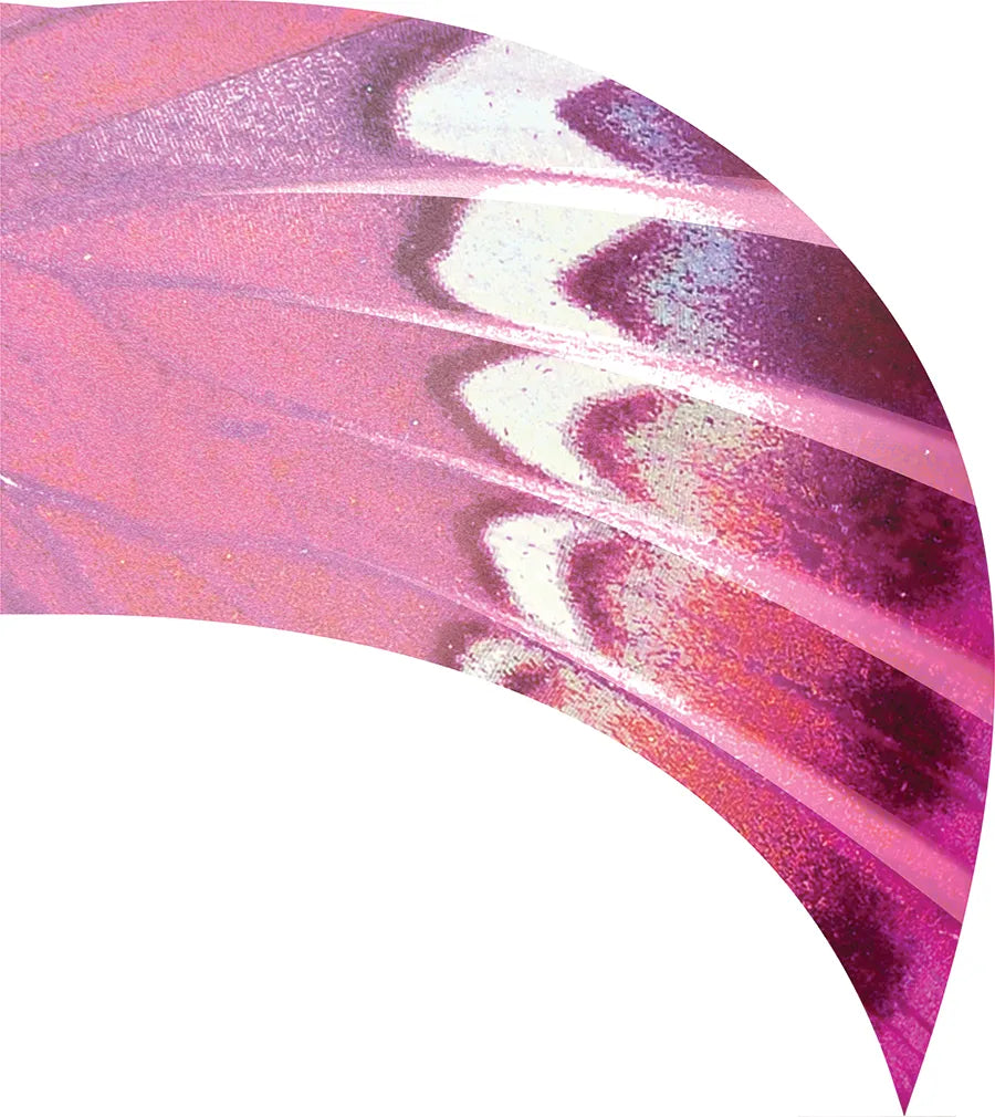 PP-0670-SS