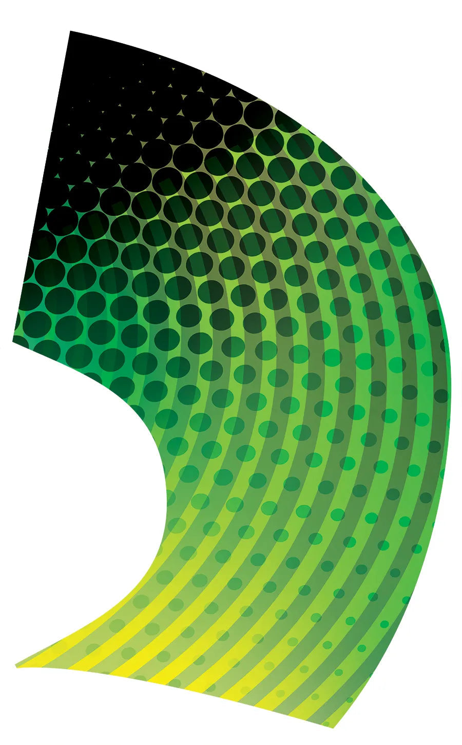PP-1441-SS