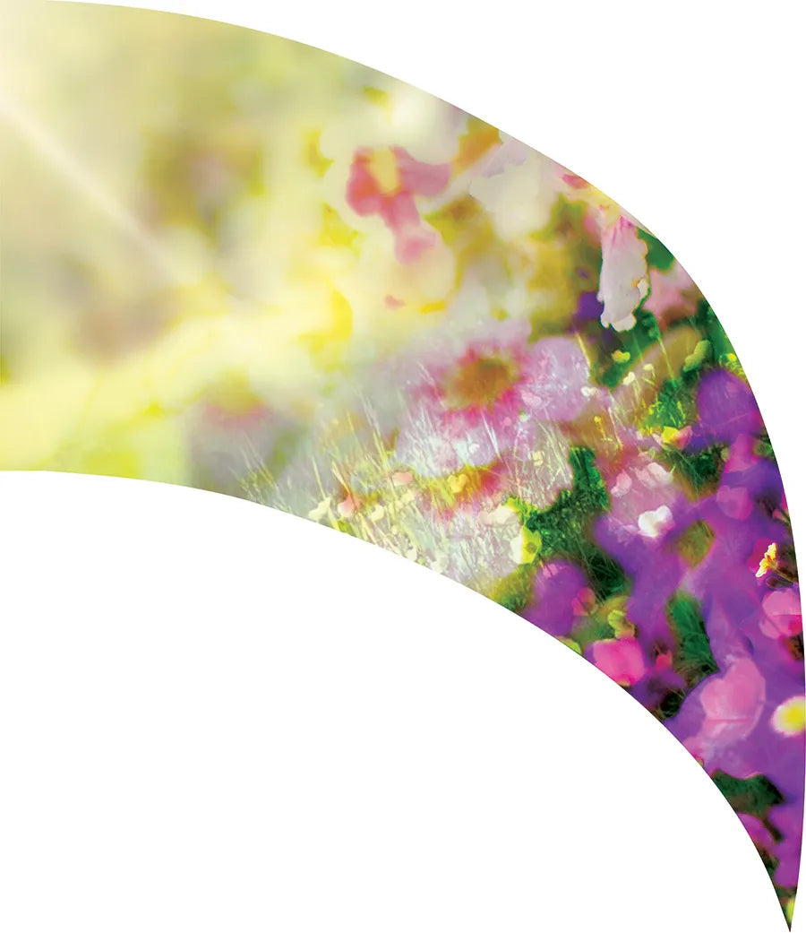 PP-2082-SS