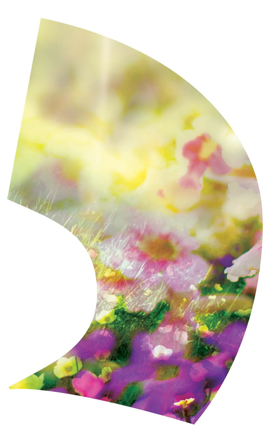 PP-2082-SS