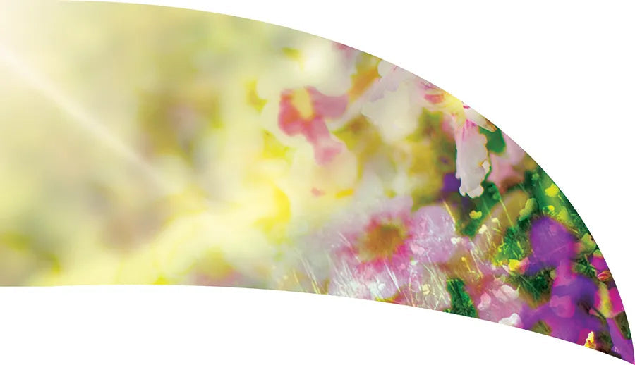 PP-2082-SS