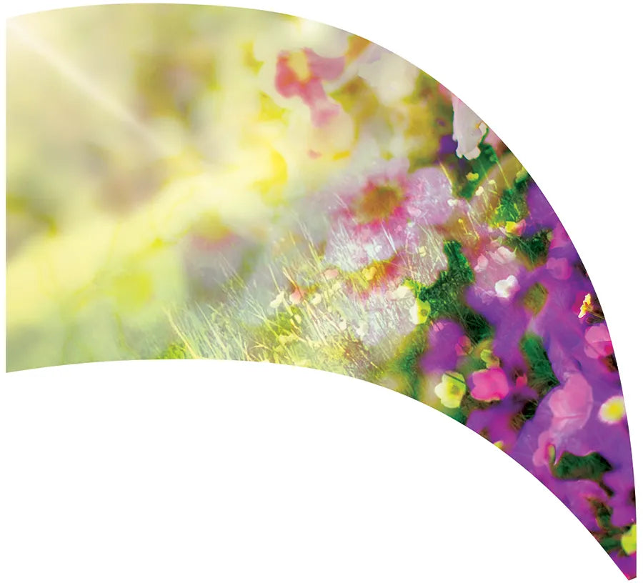 PP-2082-SS