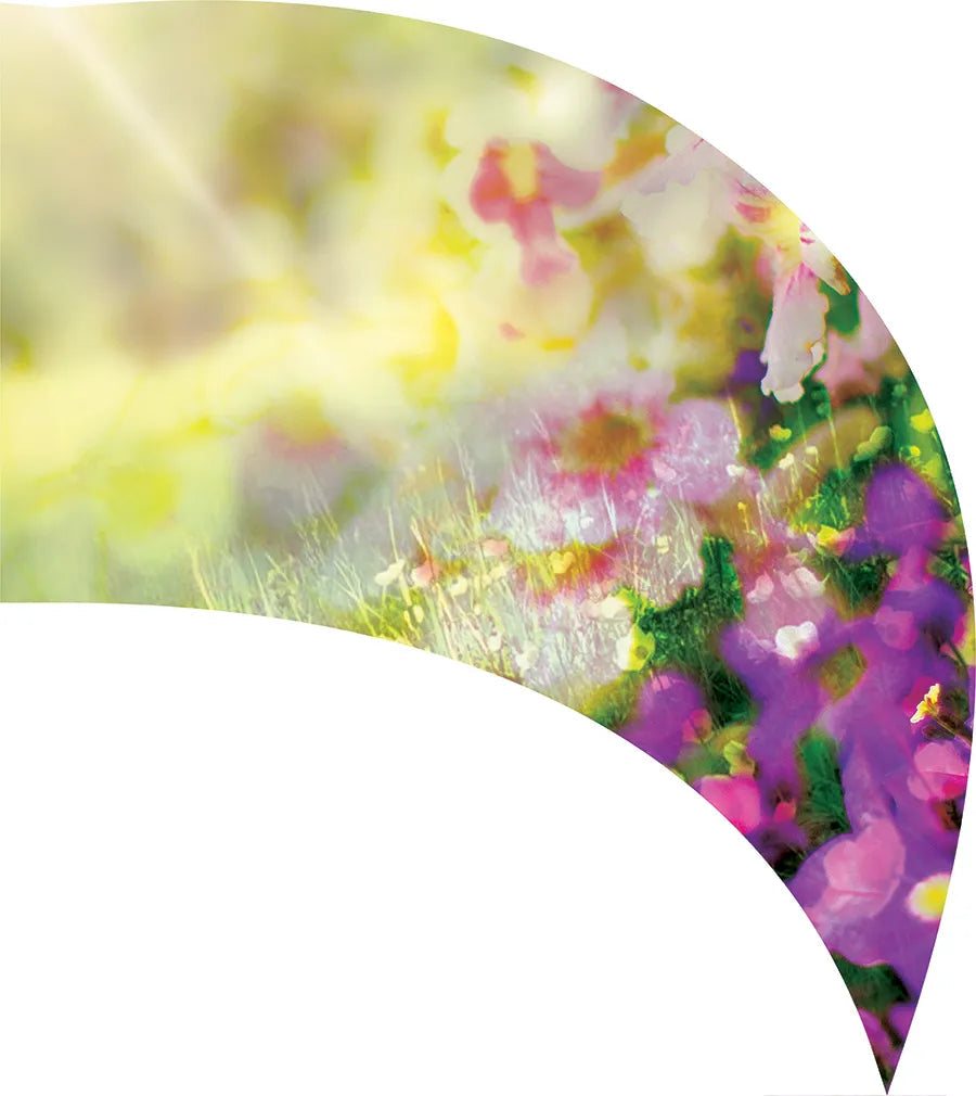 PP-2082-SS