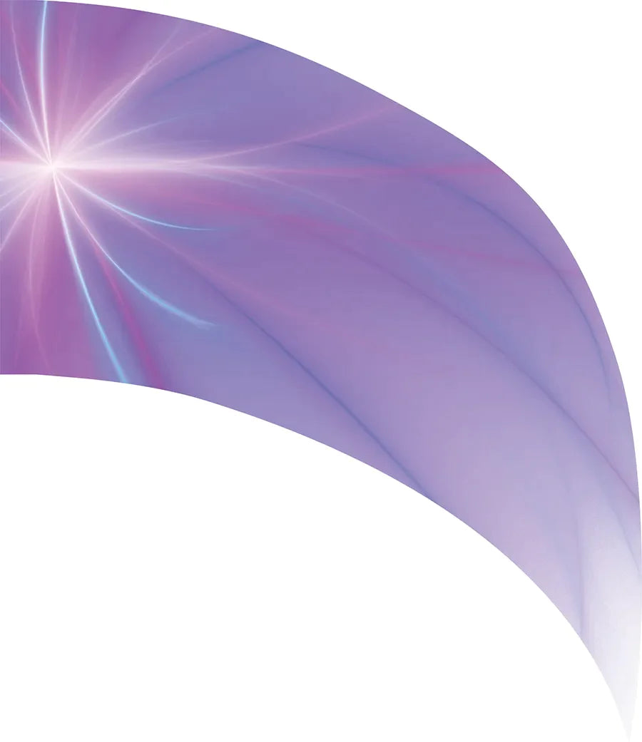 PP-2083-SS