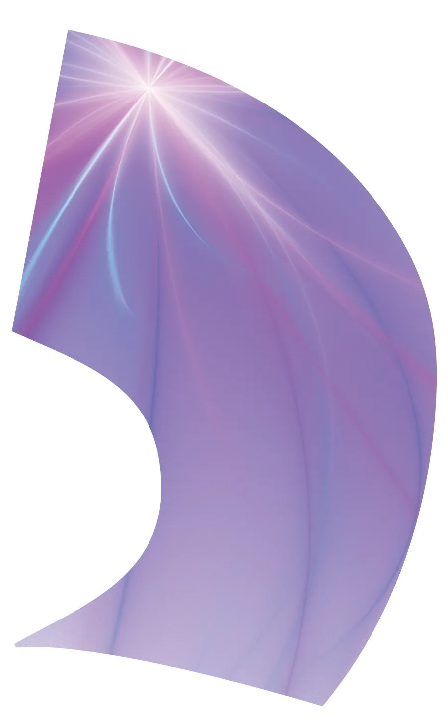 PP-2083-SS