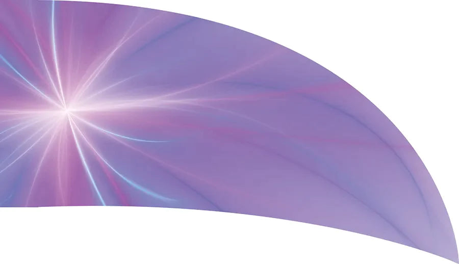 PP-2083-SS