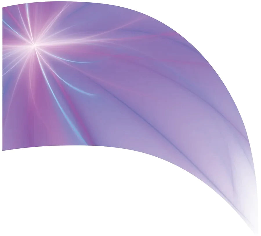 PP-2083-SS