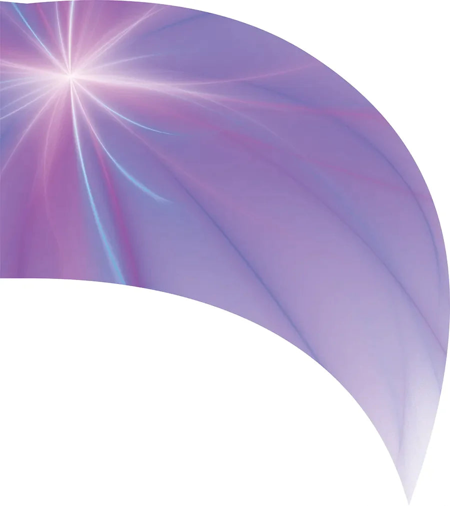 PP-2083-SS