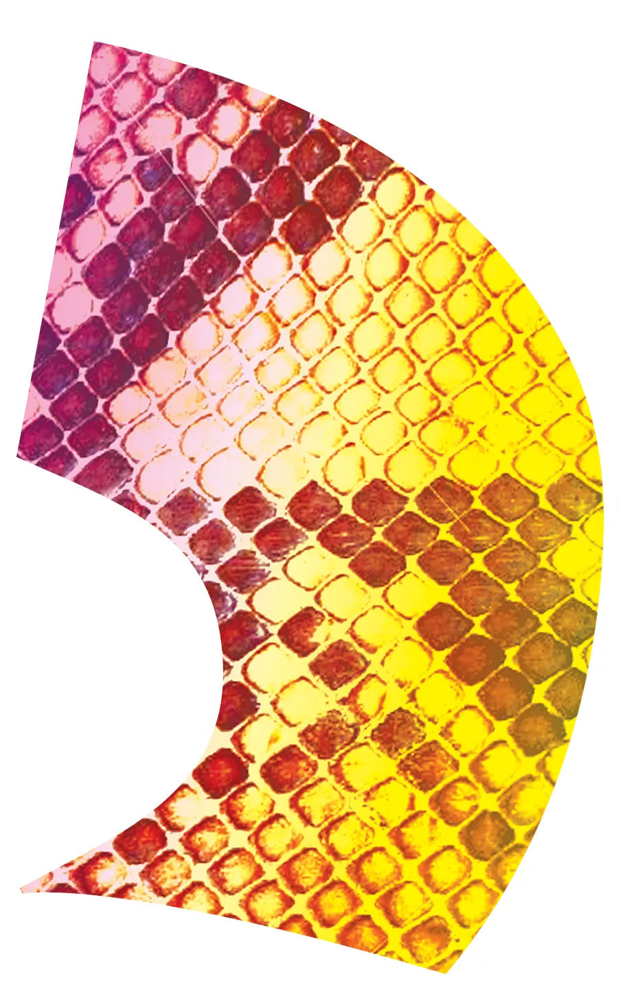 PP-2090-SS