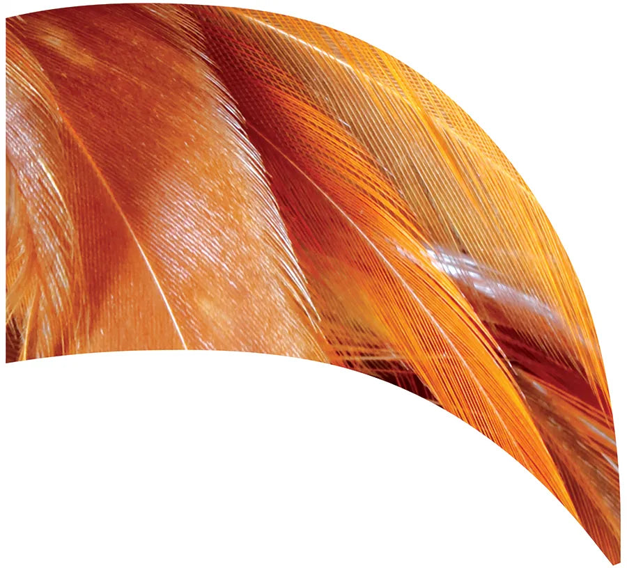 PP-2094-SS