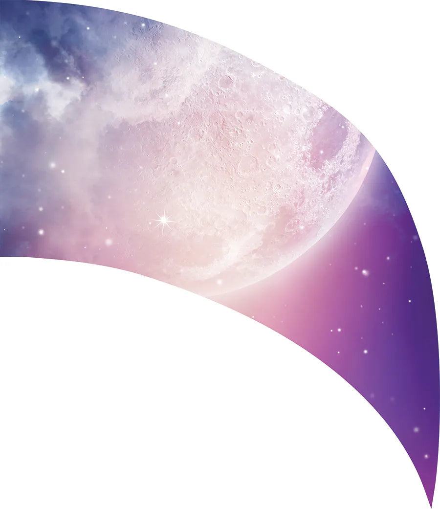 PP-2246-SS