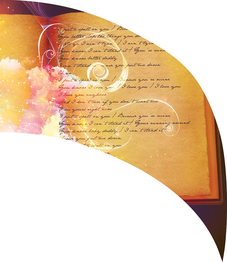 PP-0482-SS