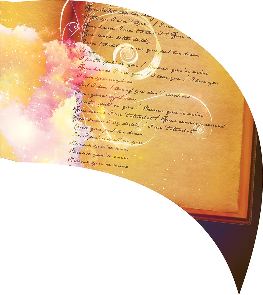 PP-0482-SS
