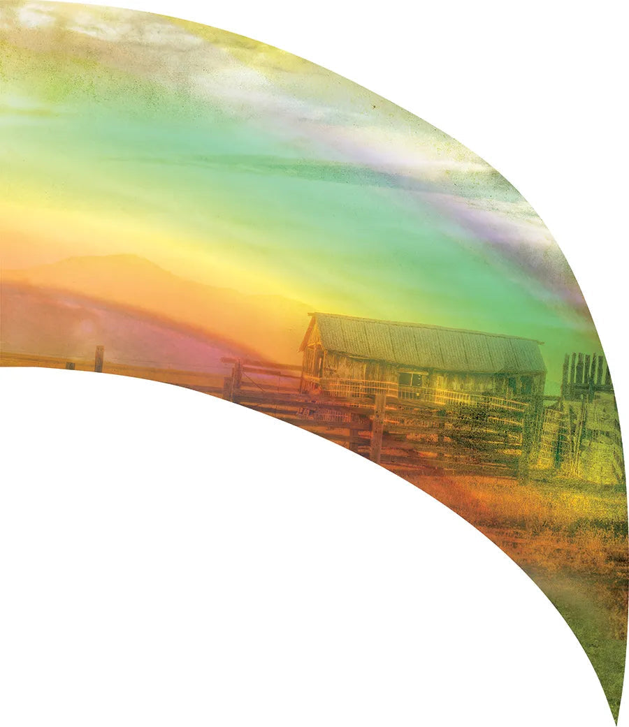 PP-0486-SS