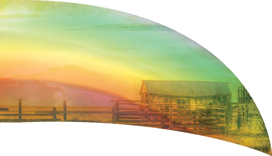 PP-0486-SS