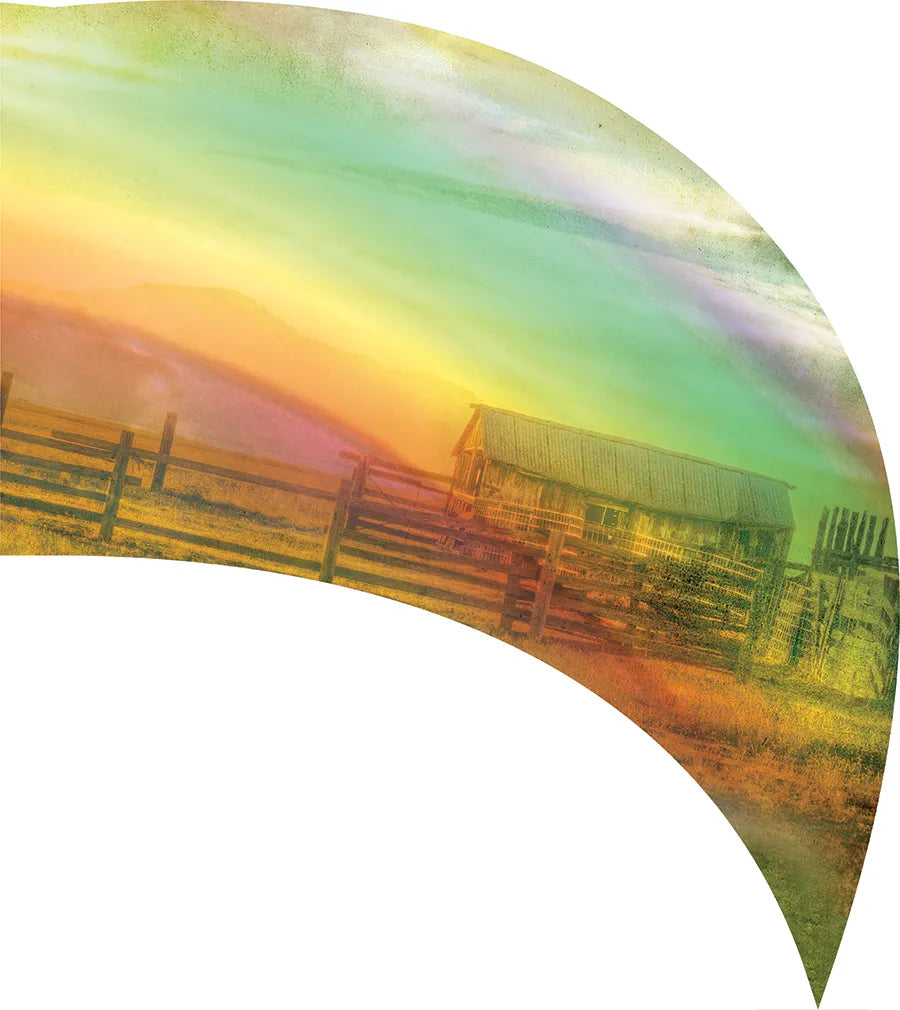 PP-0486-SS